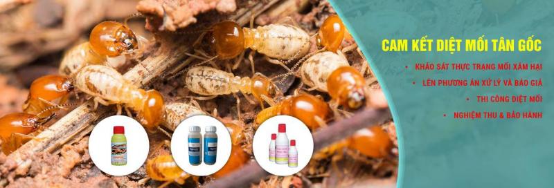 Công ty TNHH Diệt Mối & Khử trùng Tín Phát