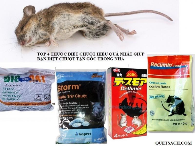 Công ty TNHH diệt mối và côn trùng Sơn Hà