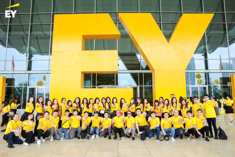 Công ty TNHH Ernst & Young Việt Nam