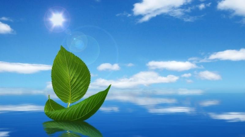 Công ty TNHH kỹ thuật môi trường Trần - Đông A