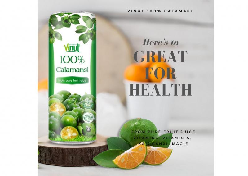 Công ty TNHH MTV Thực phẩm & Nước giải khát Nam Việt - thương hiệu Vinut