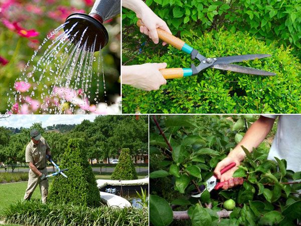 Công Ty TNHH Phát Triển Công Nghệ và Môi Trường Thiên Tân