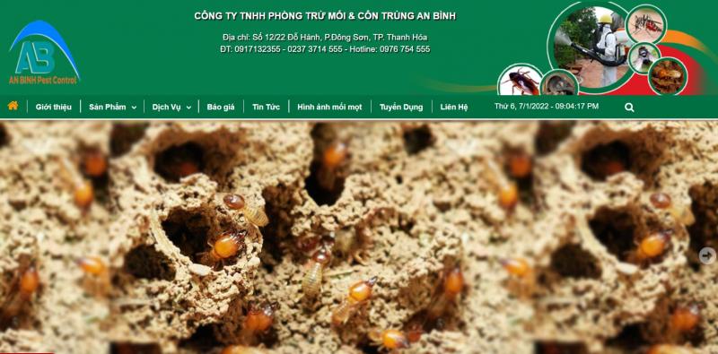 Công ty TNHH Phòng trừ Mối & Côn trùng An Bình