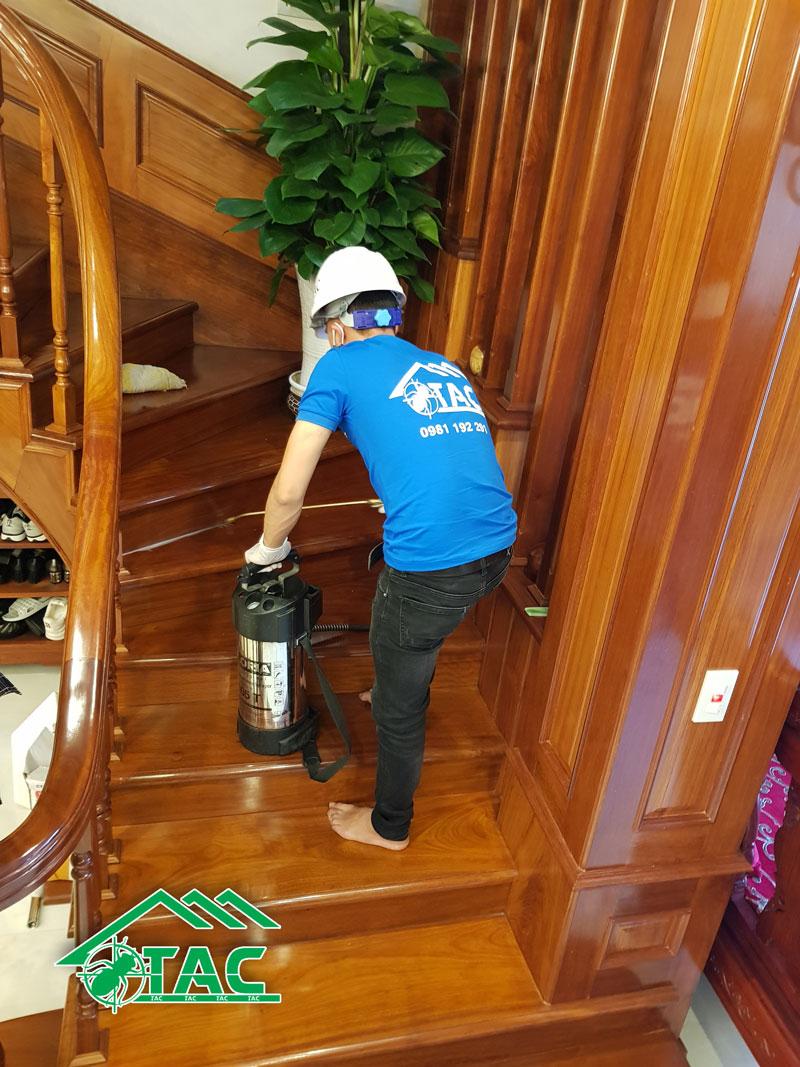 Công ty TNHH phòng trừ mối và diệt côn trùng Trần Anh