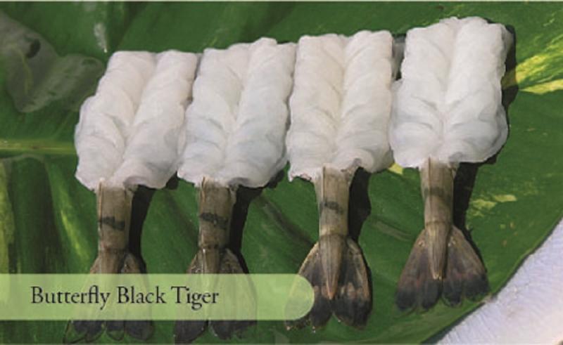 Butterfly Black Tiger