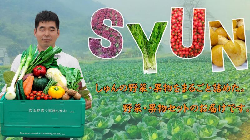 Công ty TNHH Syun Việt Nam