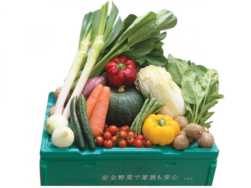 Công ty TNHH Syun Việt Nam