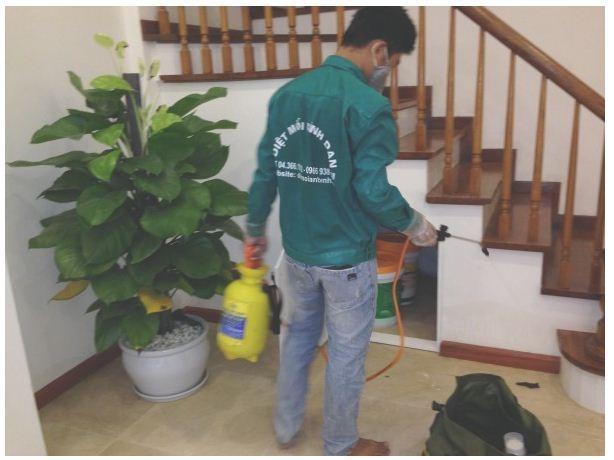 Công Ty TNHH Thương Mại & Dịch Vụ Bình Đan