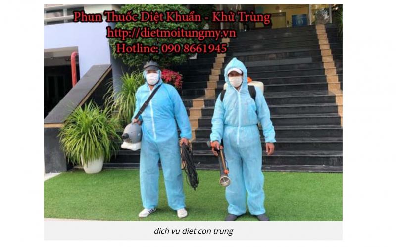 Công Ty Diệt Muỗi Tùng My