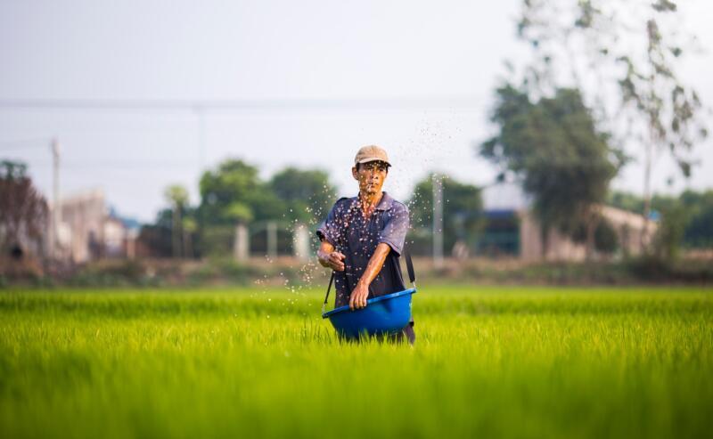 Thị trường phân bón Việt Nam trị giá hàng triệu đô la