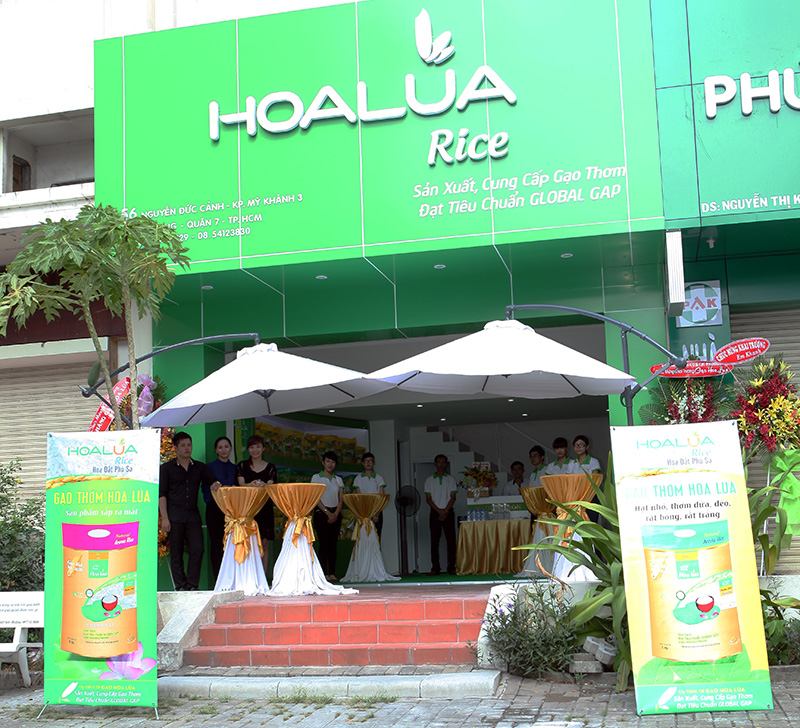 Gạo Hoa Lúa - đạt chất lượng gạo sạch