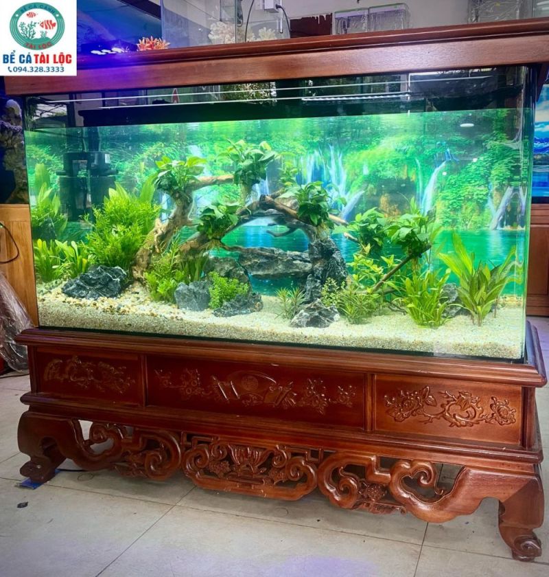 Công ty TNHH TM & DV Bể Cá Tài Lộc