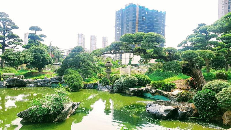 Công Ty TNHH TM Và Cảnh Quan Sân Vườn Hoàng Anh Mộc