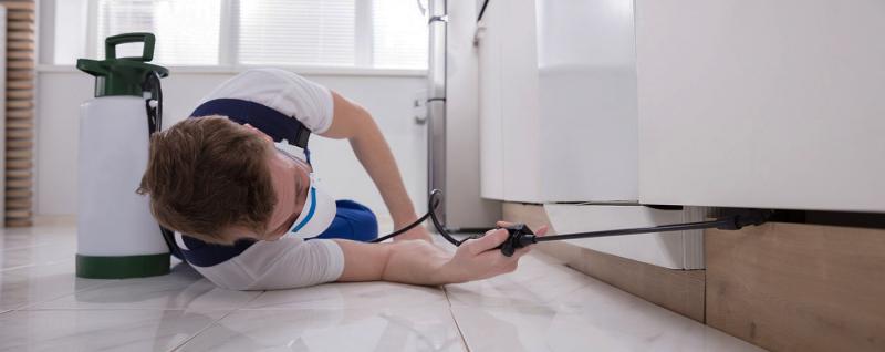 Công ty TNHH Trừ Mối Đại Việt