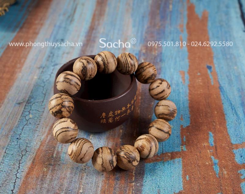 Phong thủy Sacha
