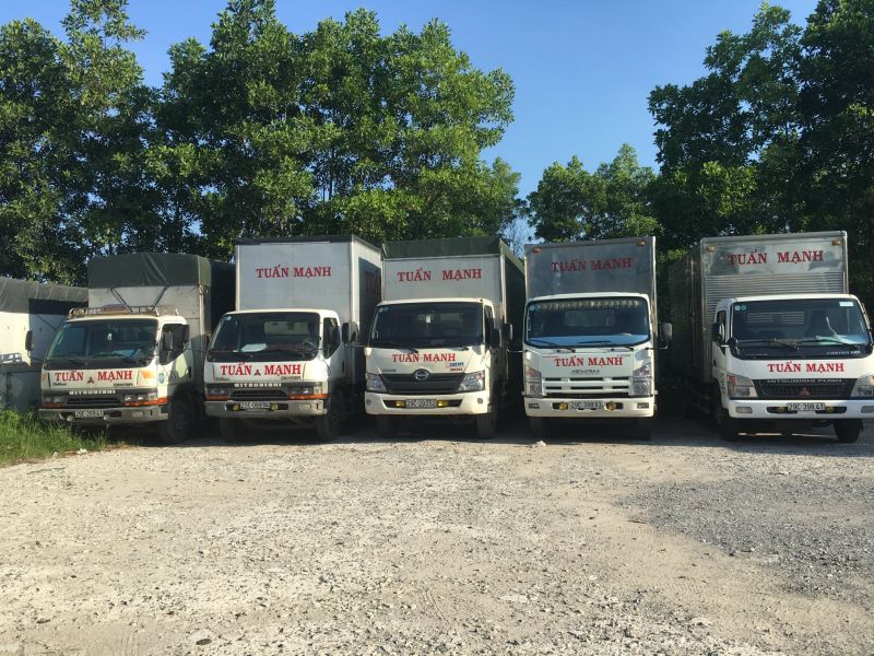 Công ty TNHH Vận tải & Thương mại Tuấn Mạnh