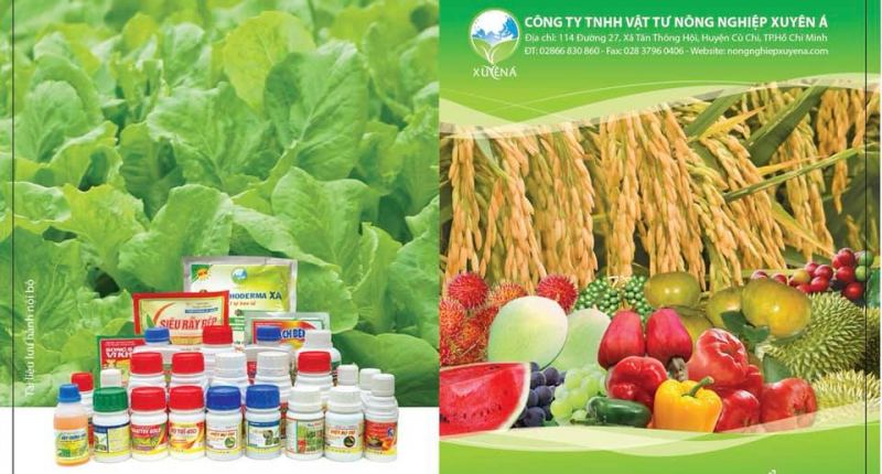 Công ty TNHH Vật tư Nông nghiệp Xuyên Á