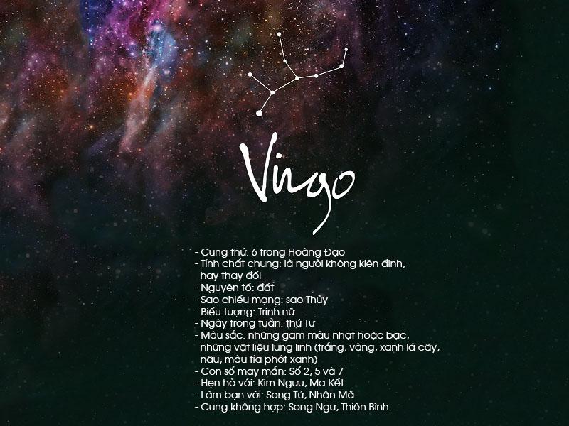 Công việc - Học tập