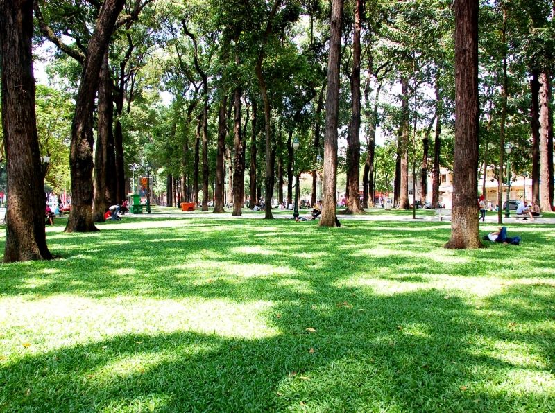 Những bãi cỏ xanh ngắt một màu thanh bình ở công viên 30/04