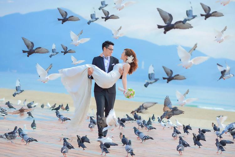 Chim bồ câu tại công Viên