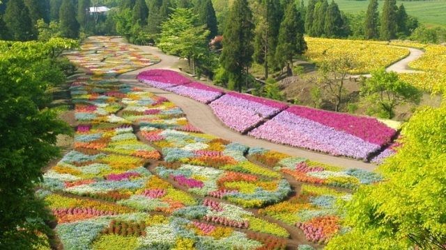 Công viên hoa Kuju, tỉnh Oita