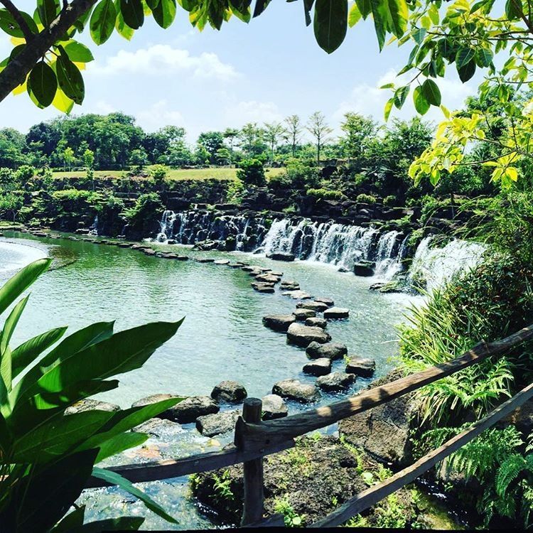 Suối Mơ thơ mộng