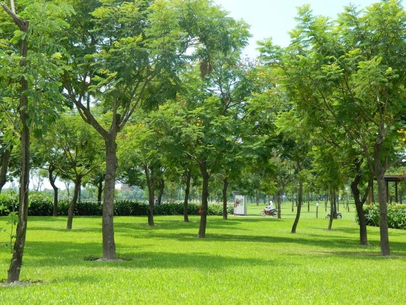 Không gian công viên Yên Sở