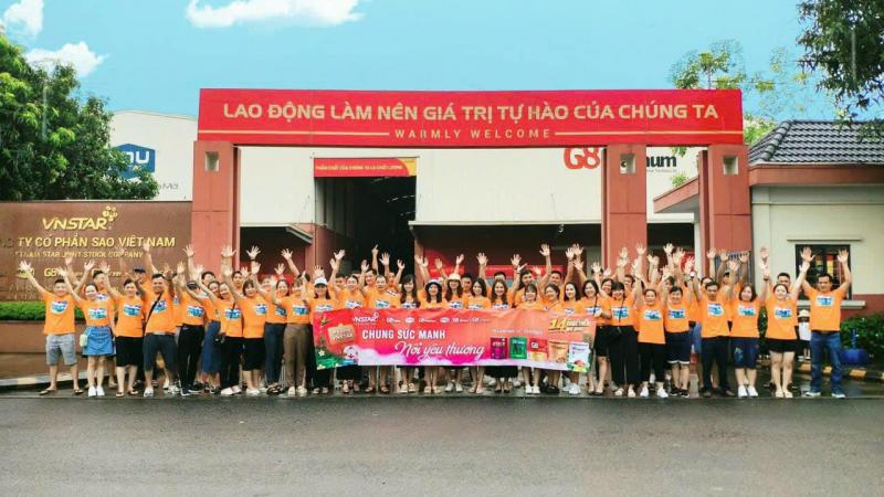 CTCP Sao Việt Nam