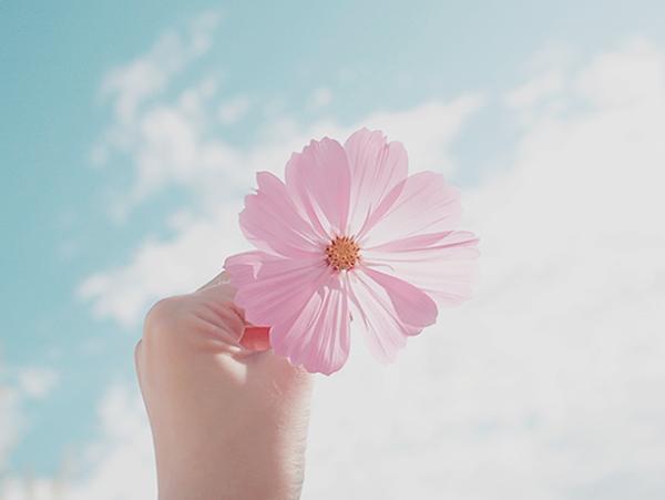 Lưu lại hạnh phúc ta hạnh phúc