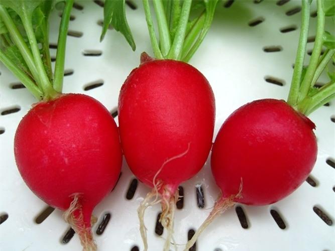 Củ cải đường
