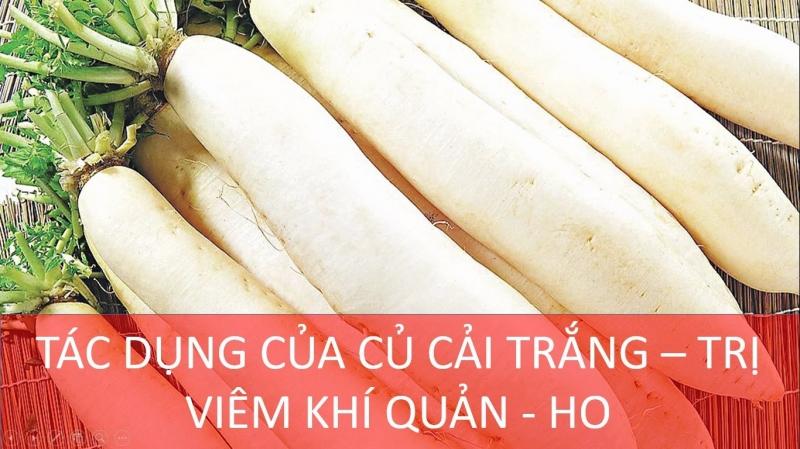 Củ cả trắng có tác dụng trị ho, viêm khí quản