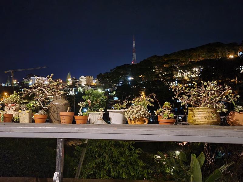 Cú Trên Cây Homestay