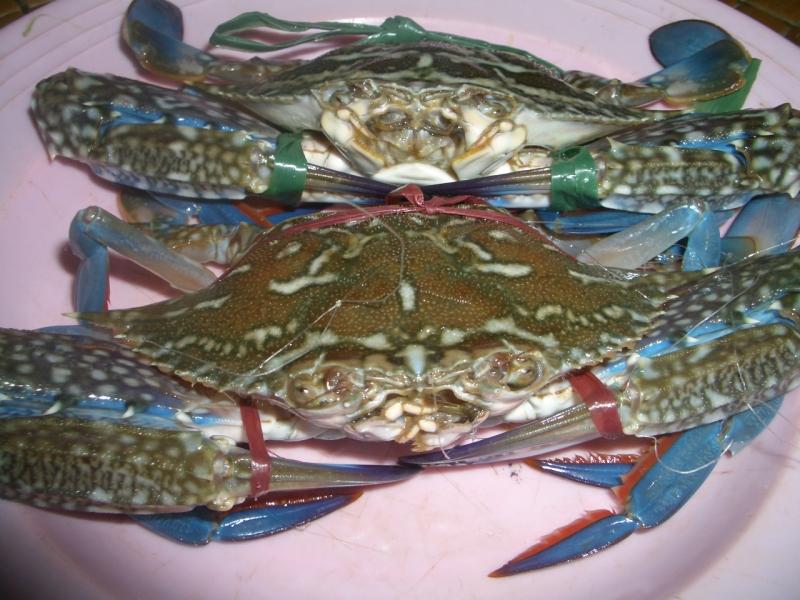 Chọn ghẹ ngon