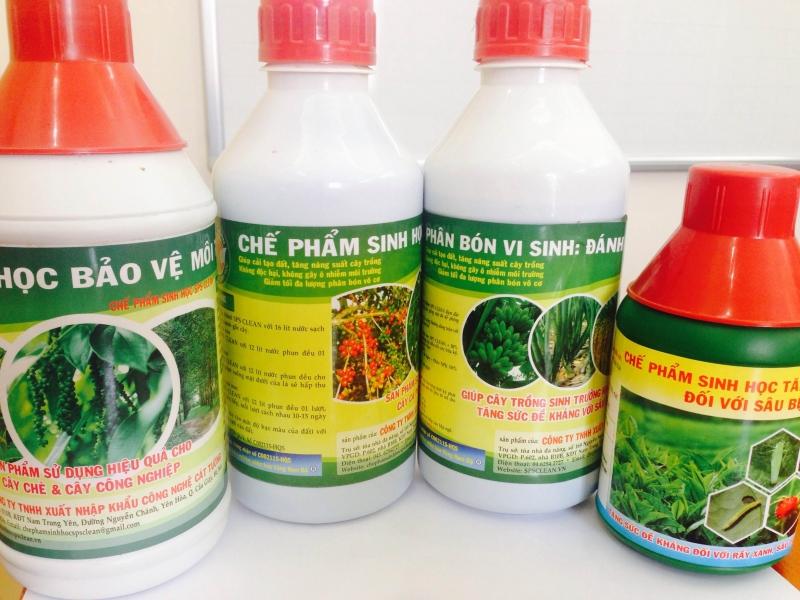Công ty Cổ phần Nữ hoàng châu Á