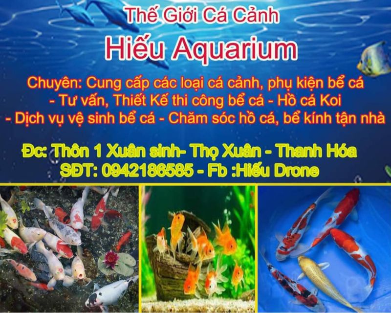 Cửa Hàng Cá Cảnh Tây Hồ Thọ Xuân