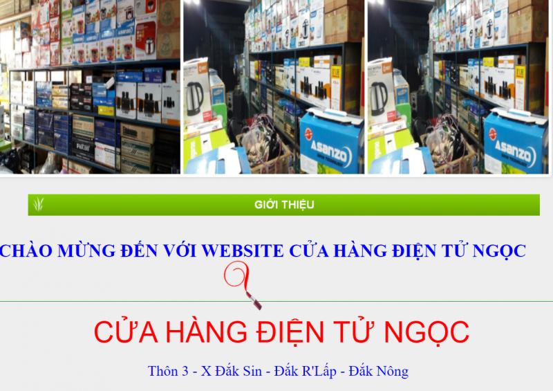 Cửa hàng điện tử Ngọc