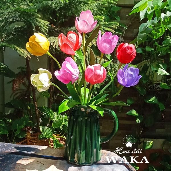 Hoa đất Waka