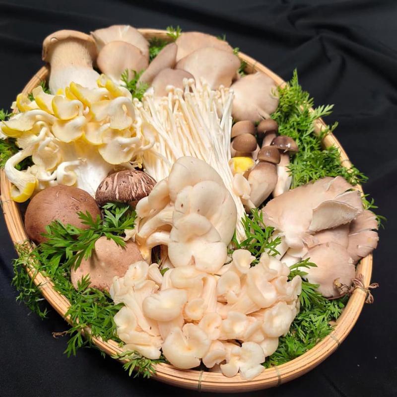 Các loại nấm bổ dưỡng tại Homefood