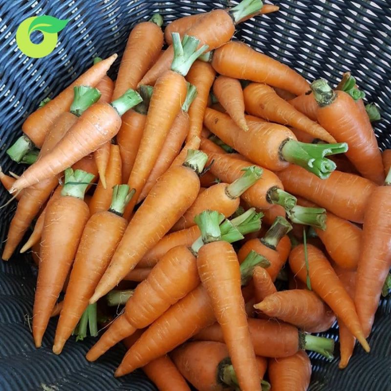 Cửa hàng thực phẩm hữu cơ Organica