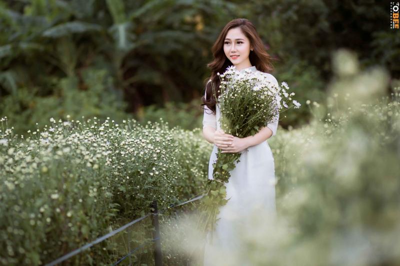 Cúc họa mi thích hợp chụp kỉ yếu