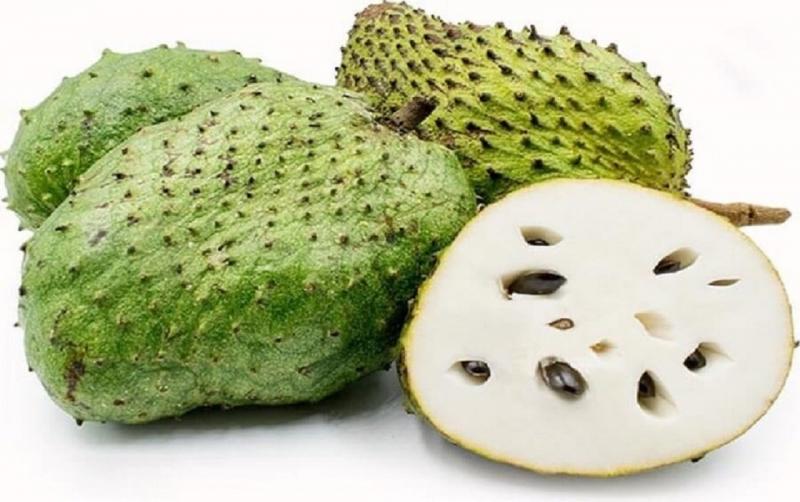 Cung cấp năng lượng dồi dào