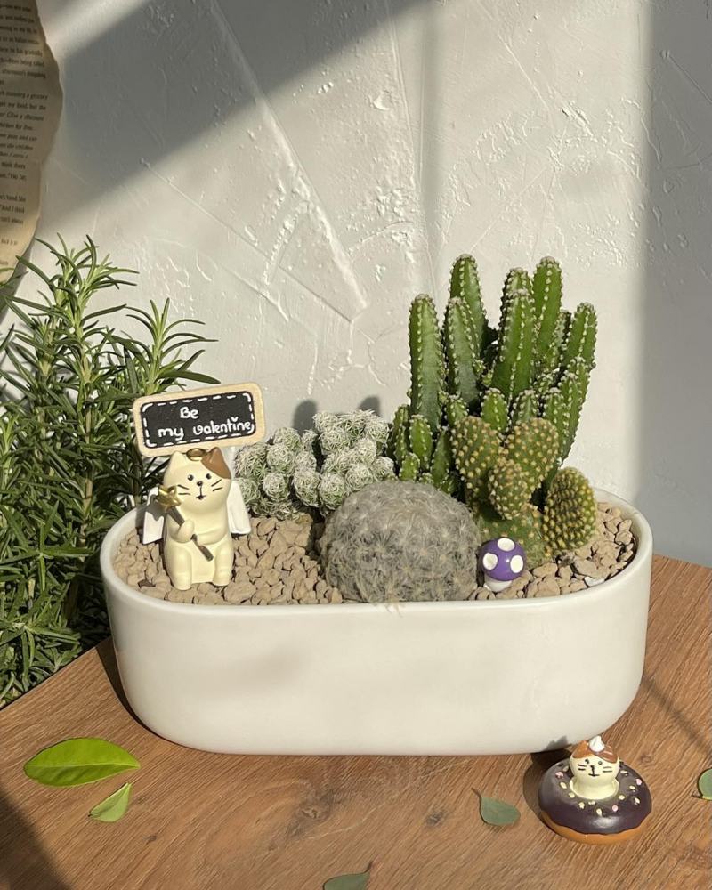 Cushy Garden