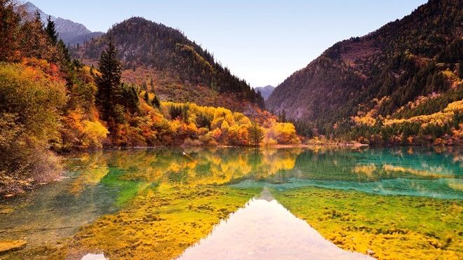 Du khách có thể tới Cửu Trại Câu vào mùa thu để thưởng lãm tuyệt tác mà thiên nhiên ban tặng