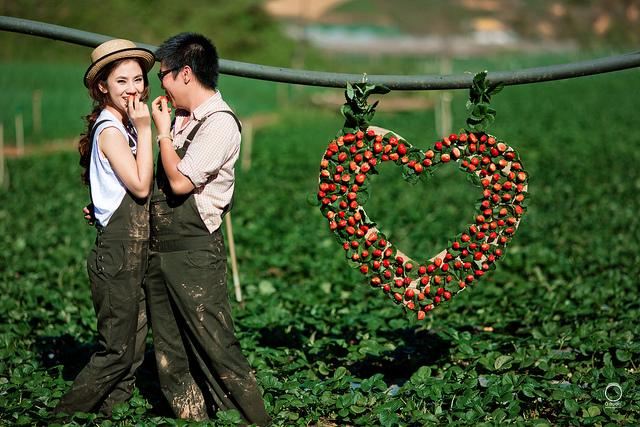 Tuần trăng mật tại Đà Lạt