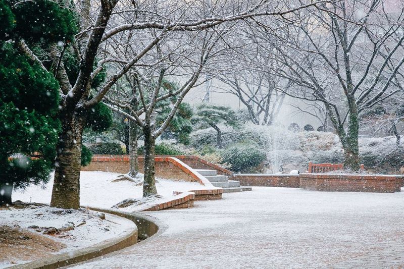 Một góc sân trường đại học Kyungsung