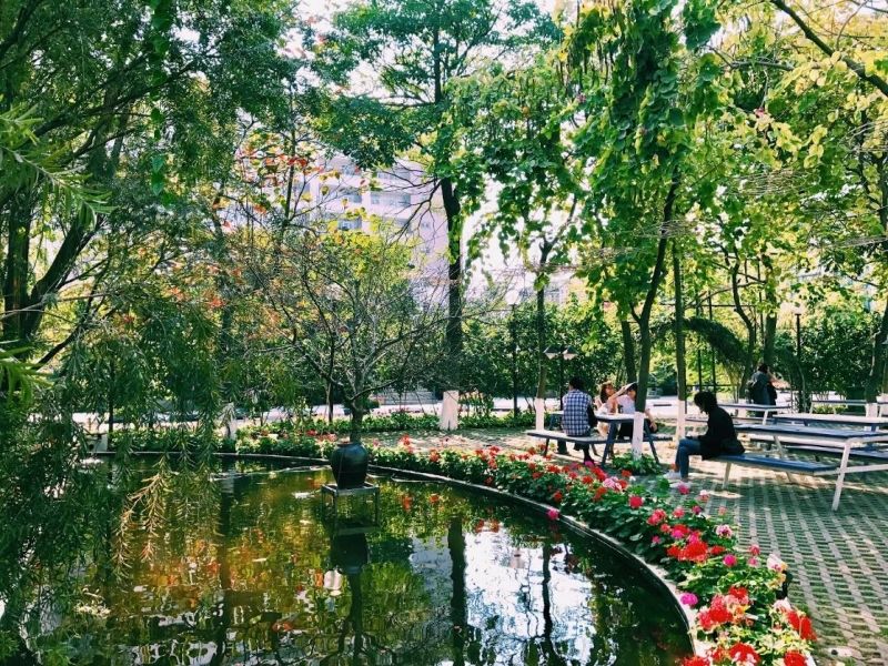 Đại học Thăng Long