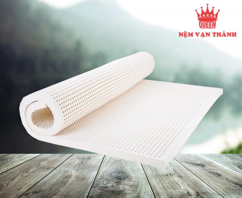 ĐẠI LÝ NỆM CAO SU VIỆT THẮNG