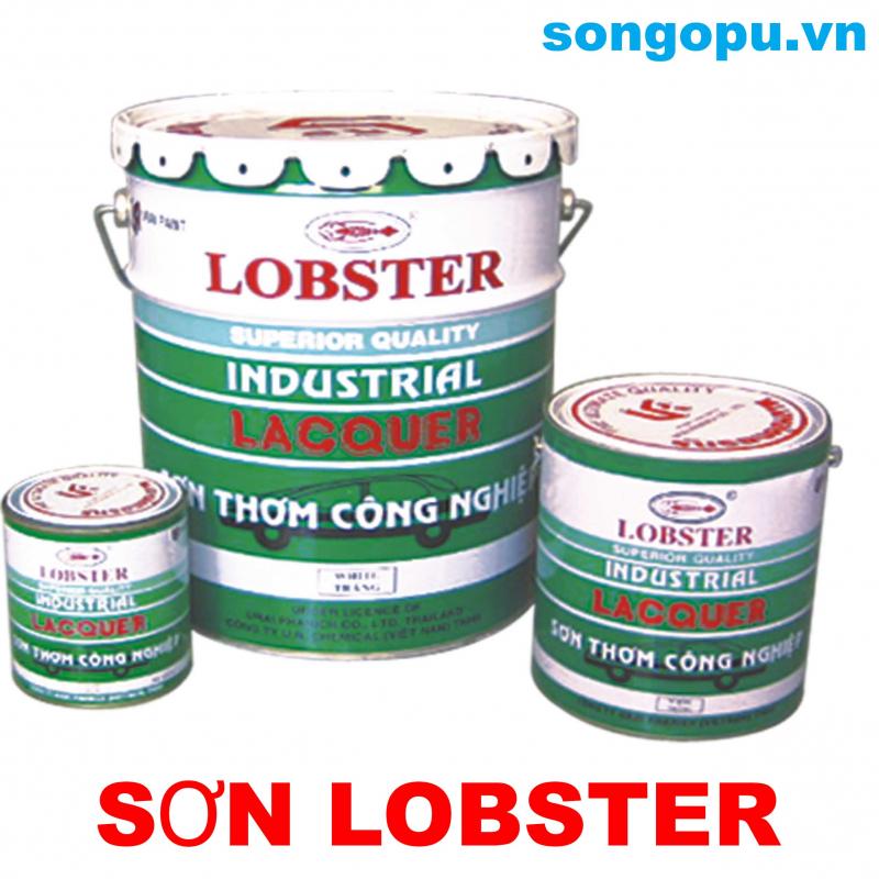 Đại lý Sơn Pu Cao Cấp Quang Hưng