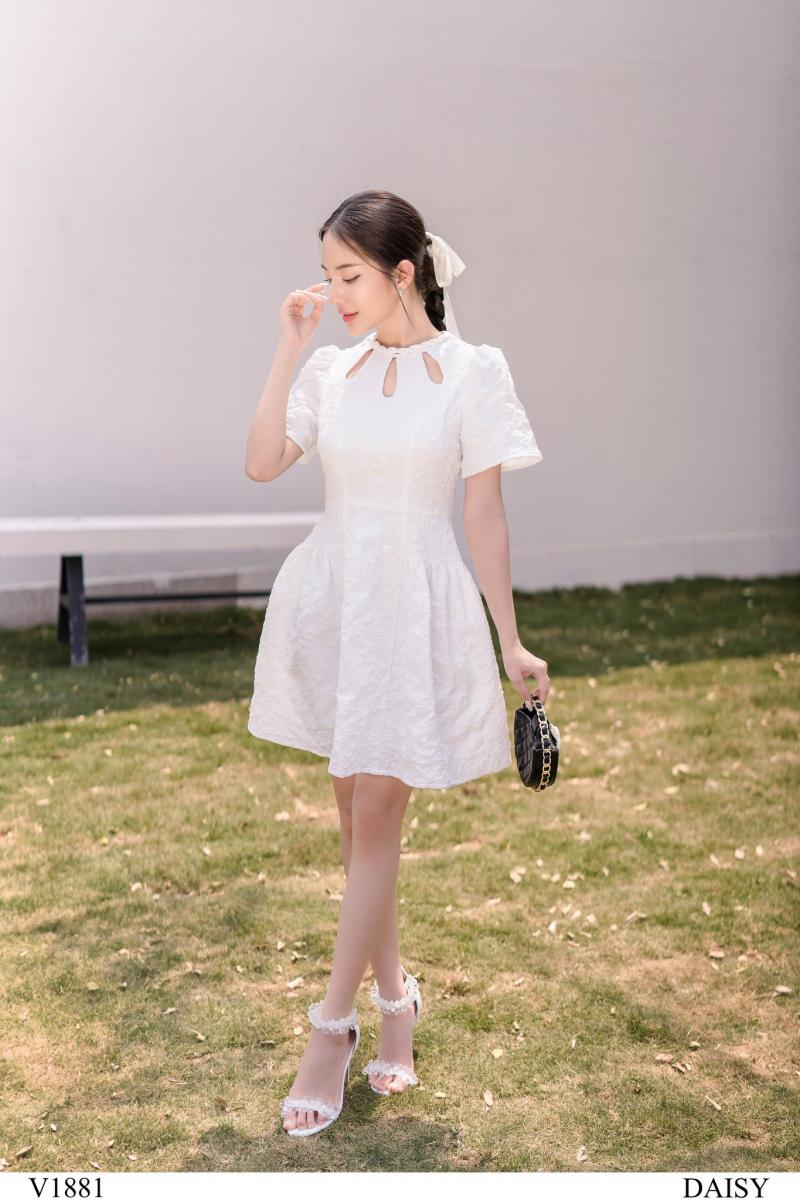 Daisy