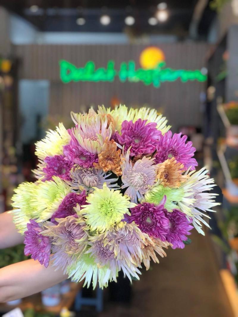 Dalat Hasfarm